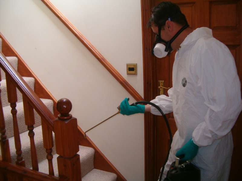 Marine and Boat Pest Control